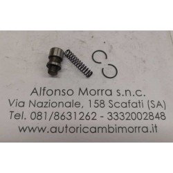 Valvola carburatore (kit)...